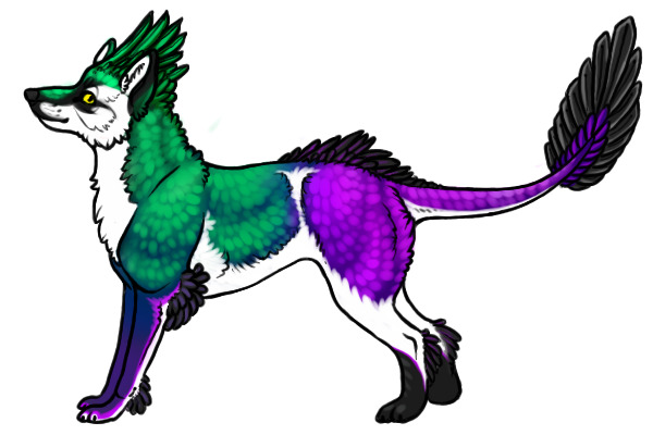 Kietta #7 - Transparent