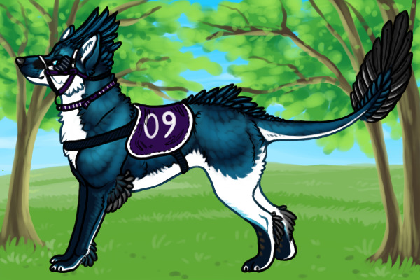 Kietta #9 - Custom