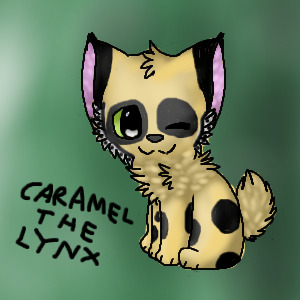 Caramel The Lynx