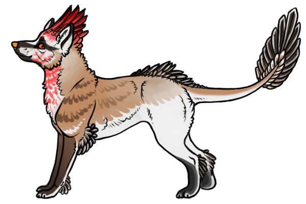 Kietta #5 - Transparent