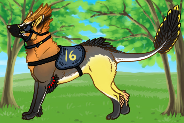 Kietta #16 - Custom