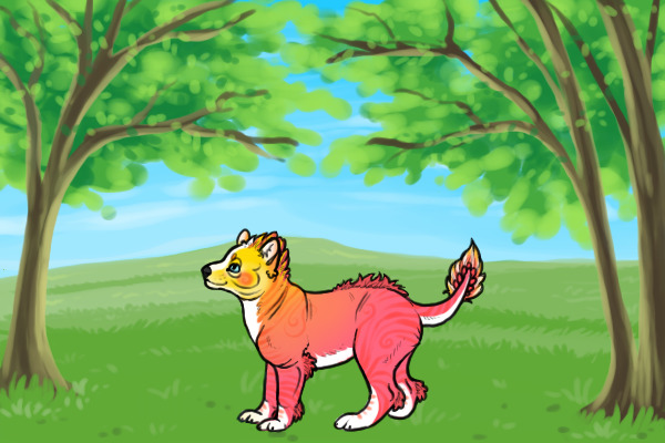 Kietta #24 - Breeding