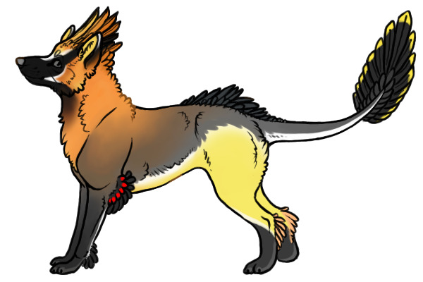 Kietta #16 - Transparent
