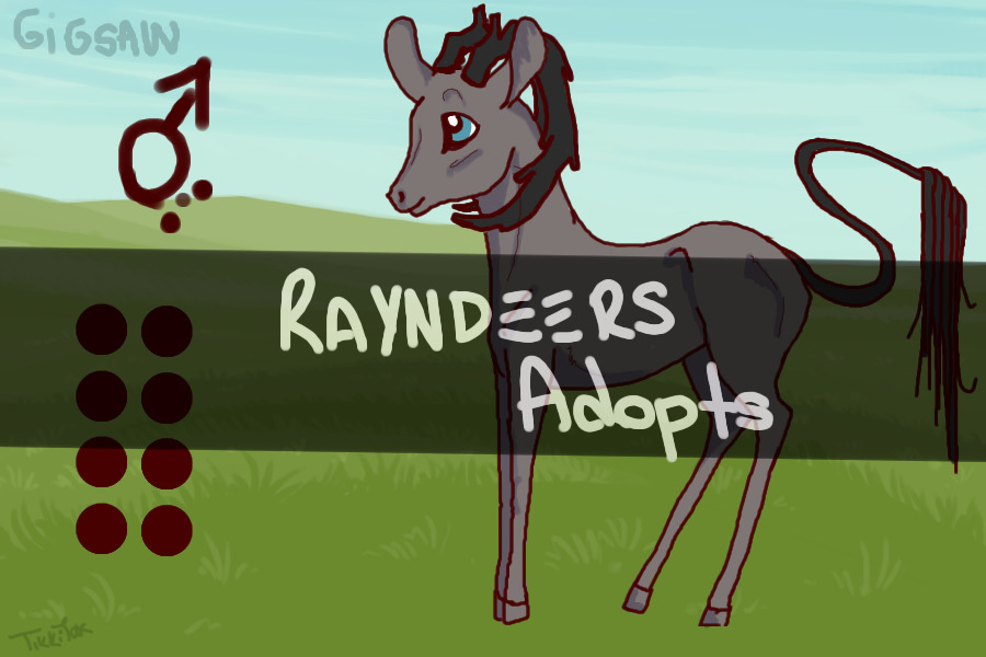 Rayndeers Adopts
