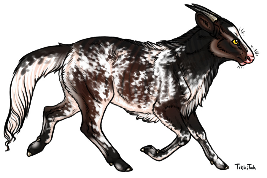 Dusa 16 | Custom | Wild Agouti Roan