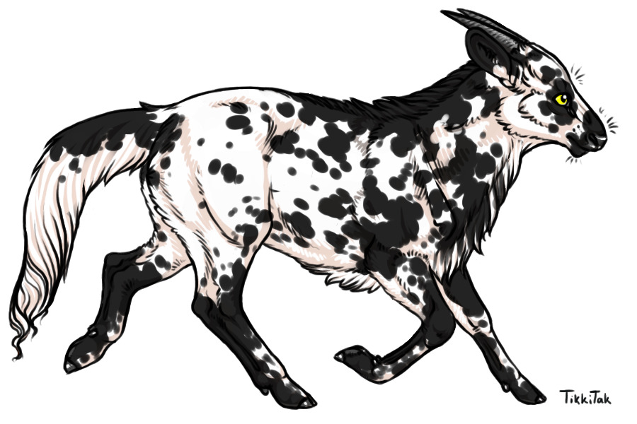 Breedings 002 | Black Brockled Piebald