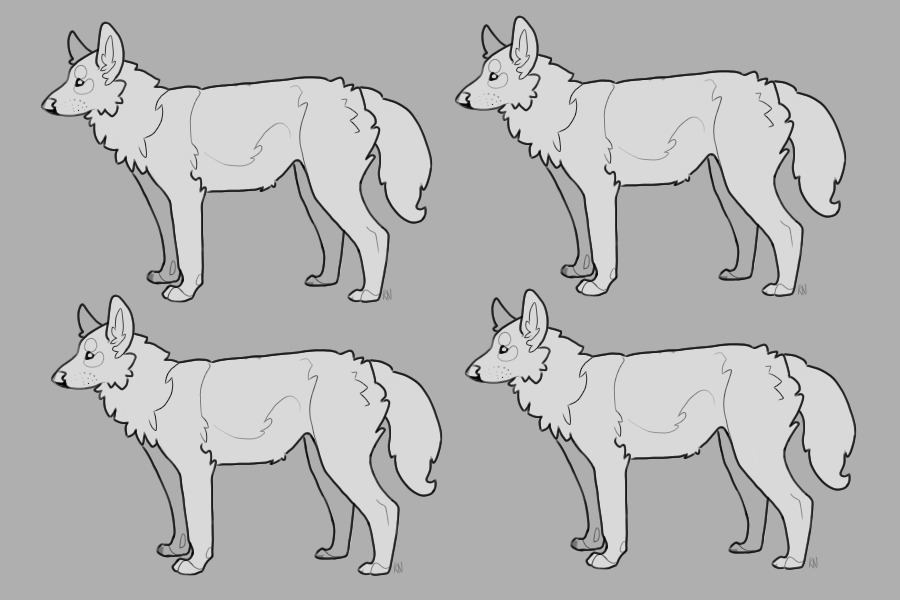 canine lineart