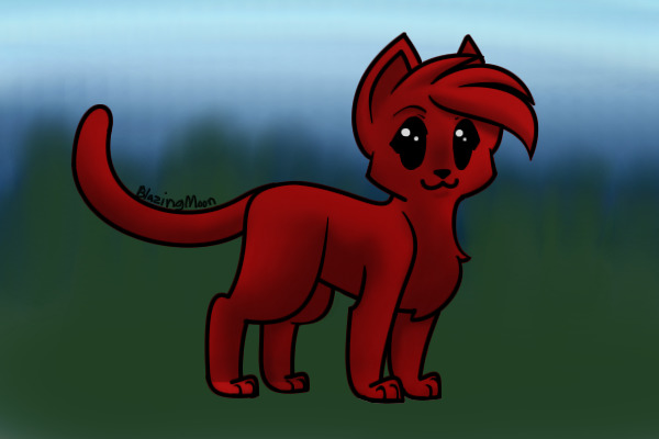 Crimson The kitty