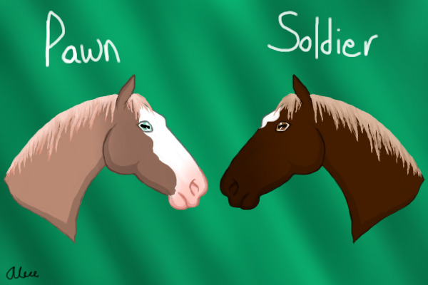 Pawn + Soldier ^^