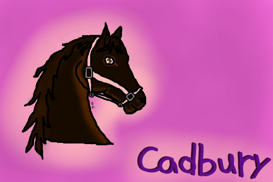 Cadbury Headshot for Champion