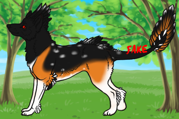 5th Entry
