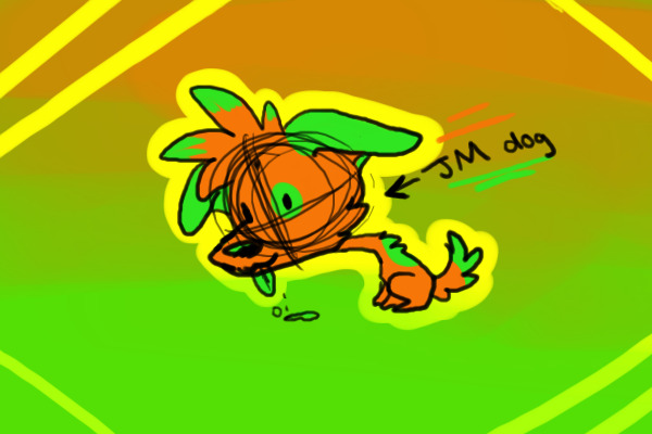 jm dog [ignore- this is my storage area]