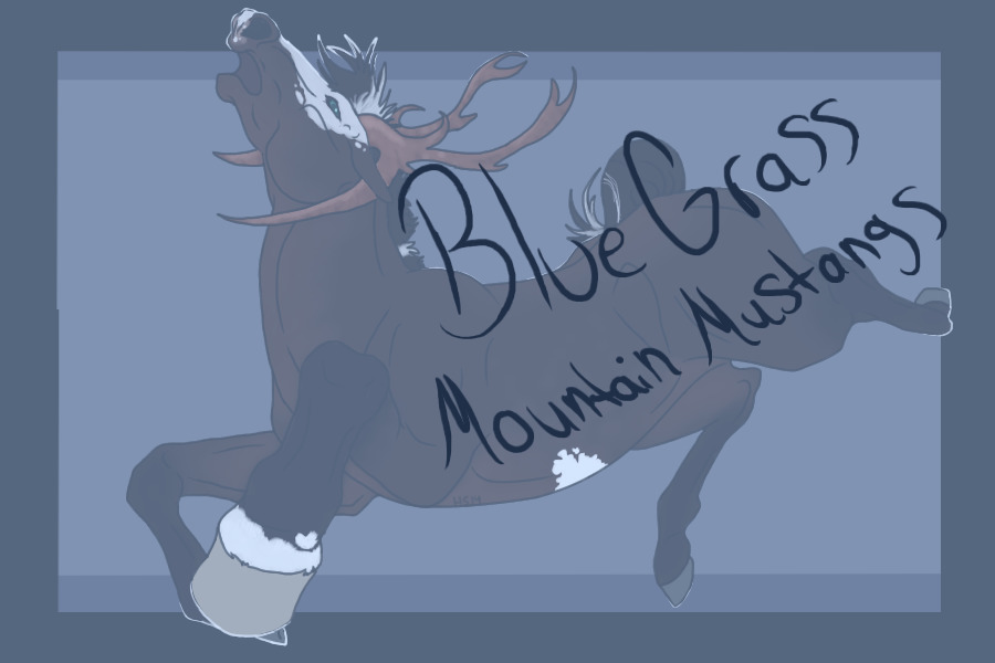 BlueGrass Mountain Mustangs