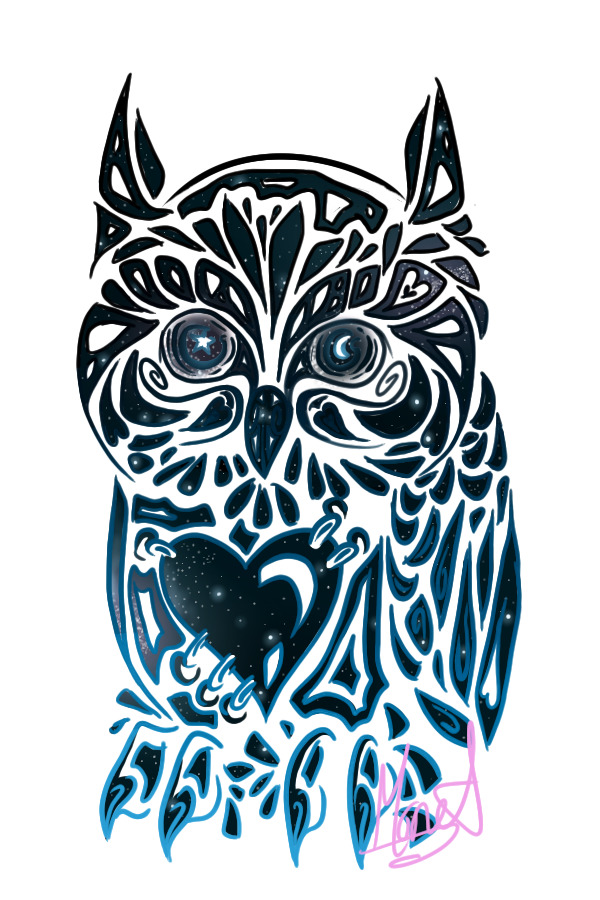 Galaxy Owl