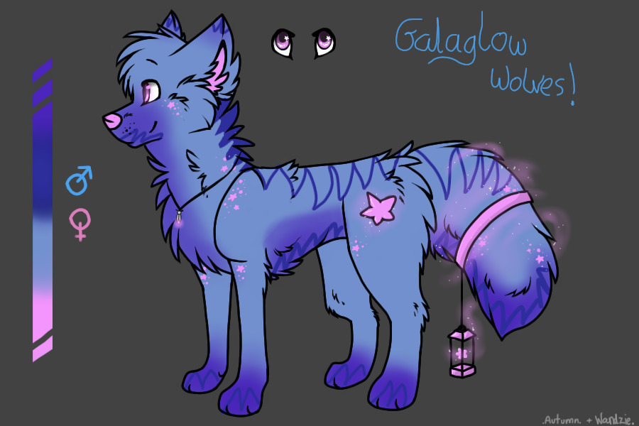 Galaglow Wolf #12