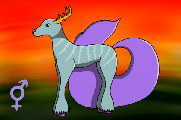 My entry