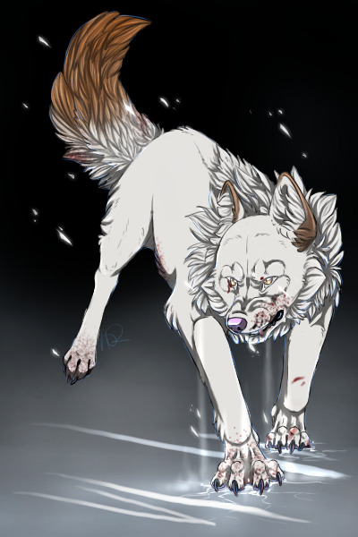 Shards