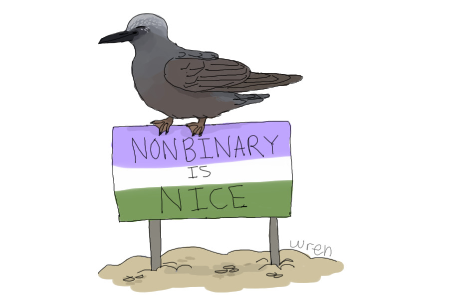 nat the nonbinary noddy