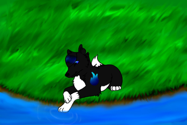 Contest Entry