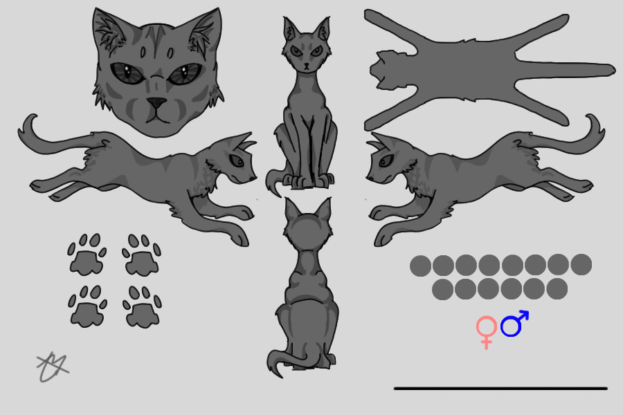 Cat Reference Editable