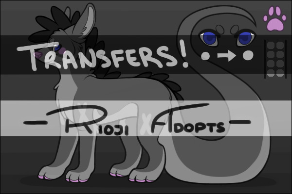 Rioji Transfers!