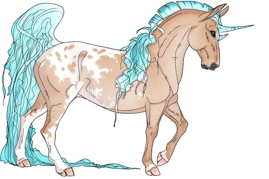 Chrysaora Basilisk #225 | Regular Adopt