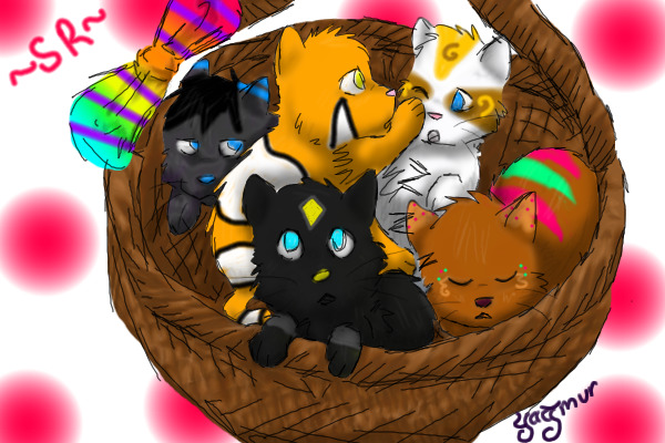 A Bunch of Cats in a Basket ^^