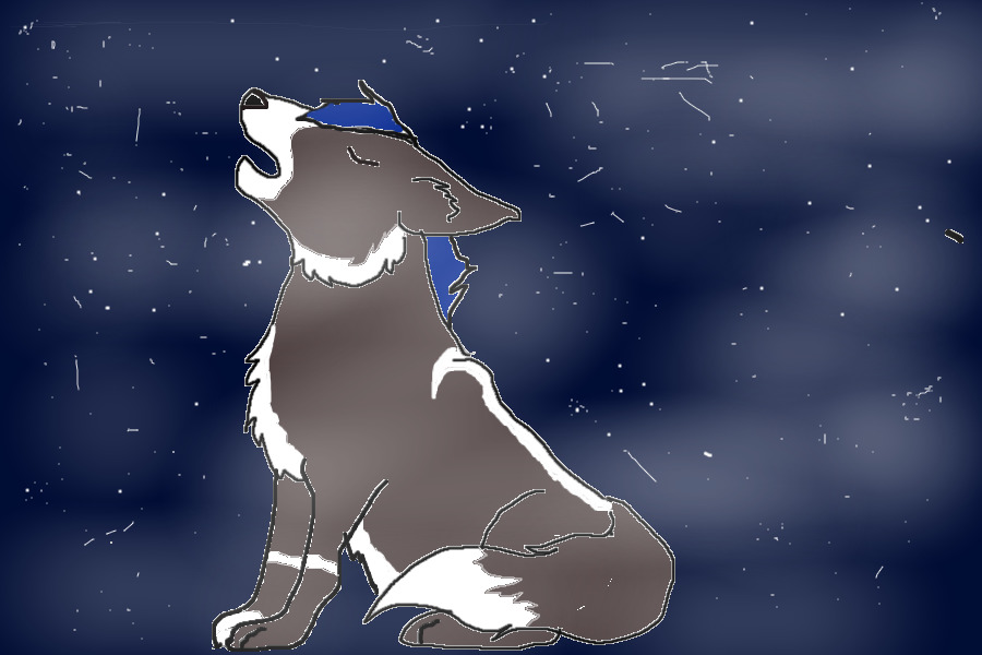 Howling in the night