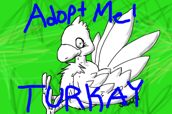 Adopt a Turkay!