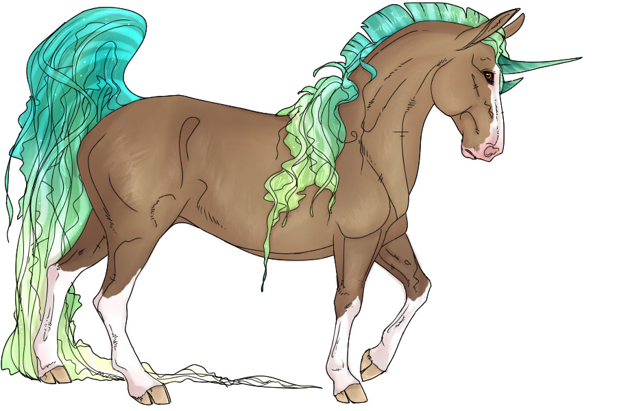 Chrysaora Basilisk #228 | Regular Adopt