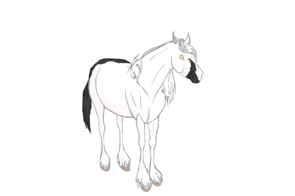unnamed eventing horse [OPEN FOR ADOPTION]