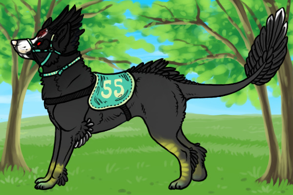 Kietta #55 - Adoptable