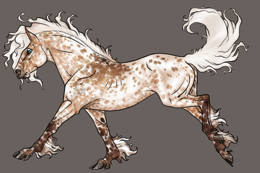 entry 3 - silver dunskin near leopard