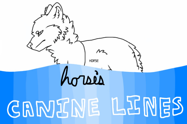 Horse's Canine Lines