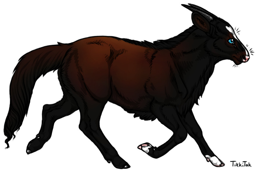 Breeding 010 | Patterned Black