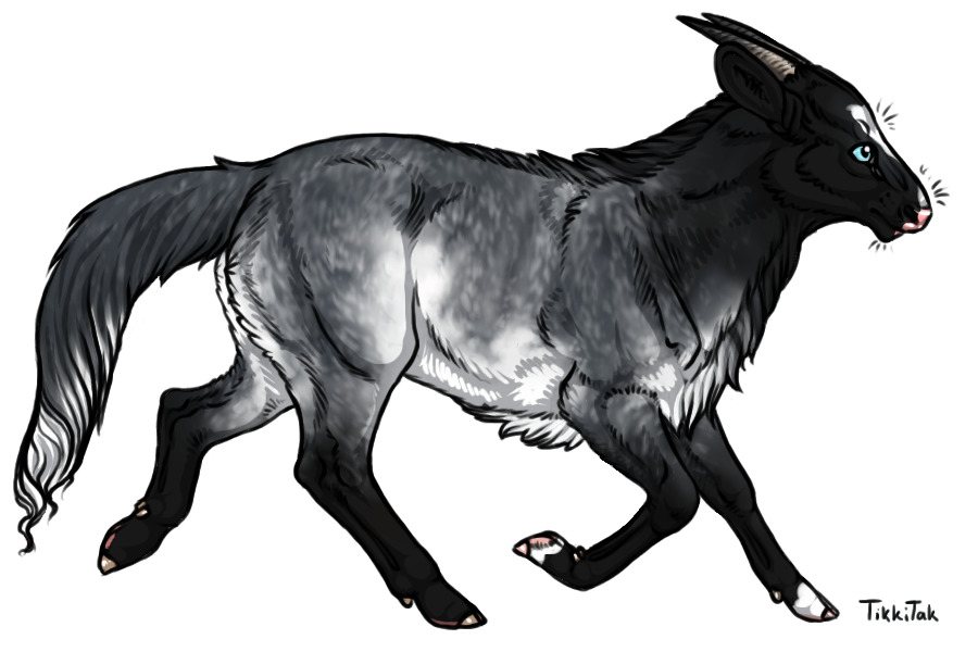 Breeding 011 | Blue Roan