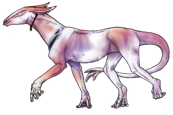 Transparent