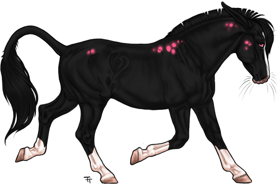 Kleeare #02 ✧ Adopt