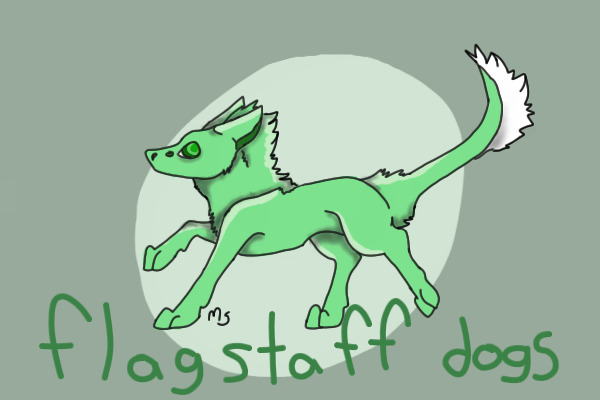 Flagstaff Dogs~ Need guest artists!