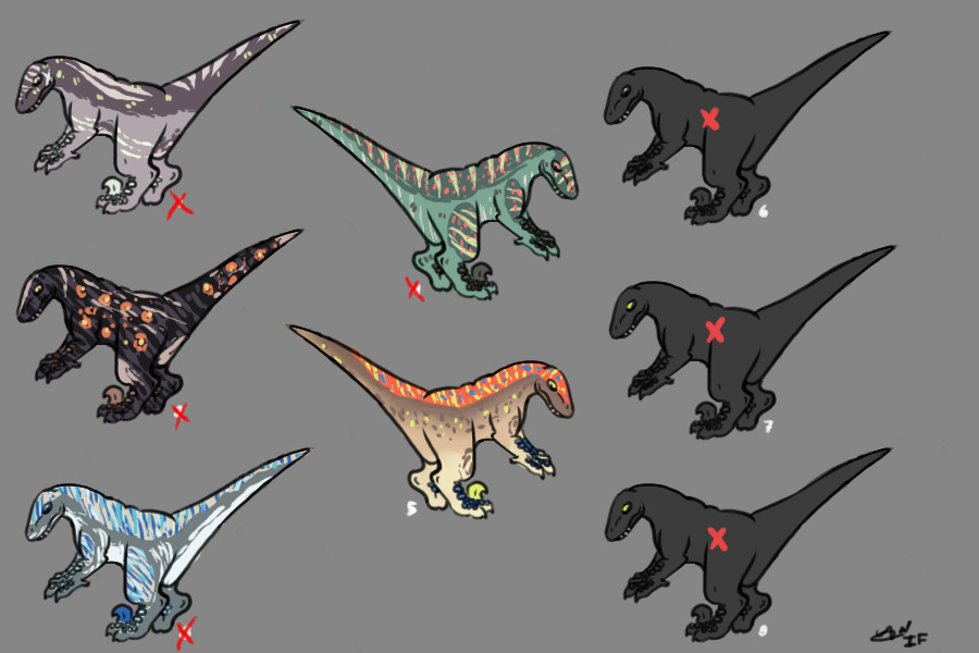 raptors - adopt us!