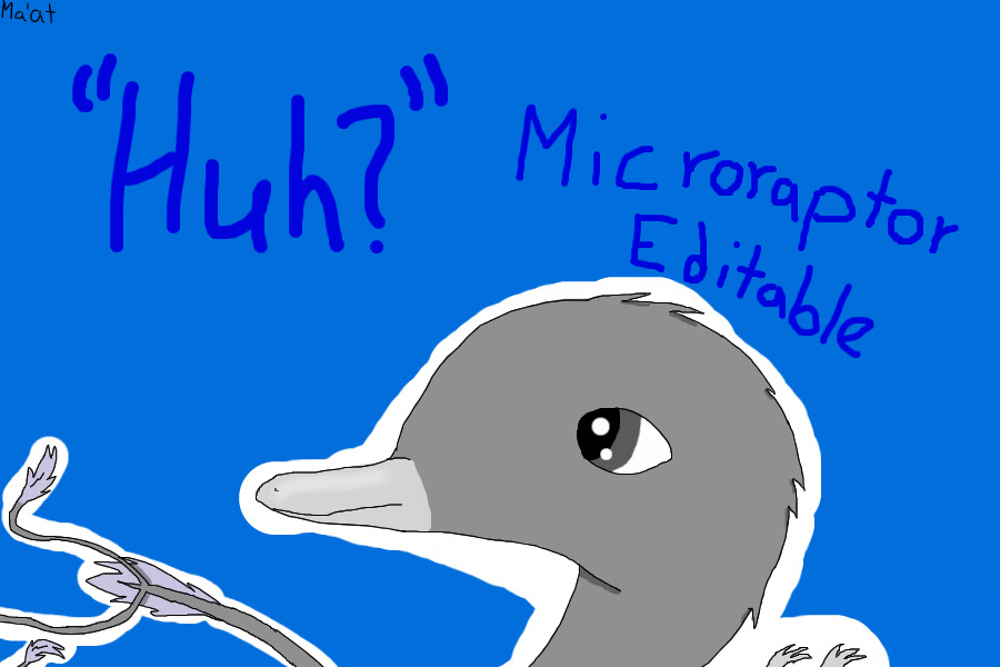 "Huh?" Microraptor Editable