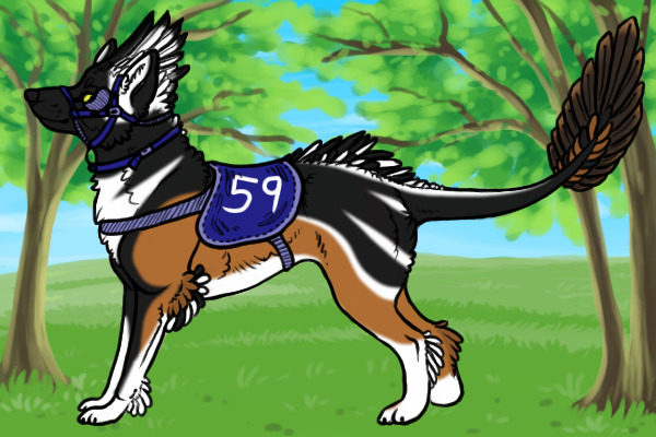 Kietta #59 - Eulee