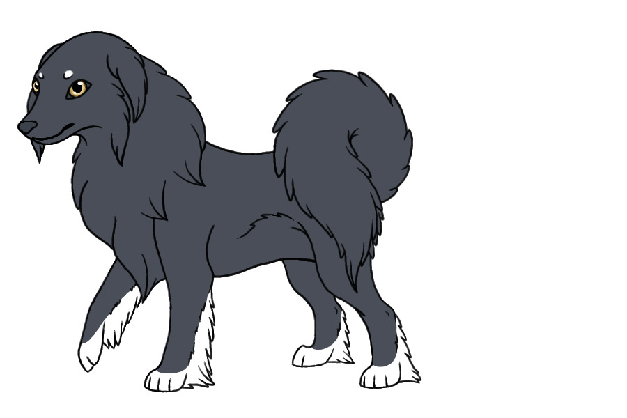 GS #2 - NV Dark Arrow