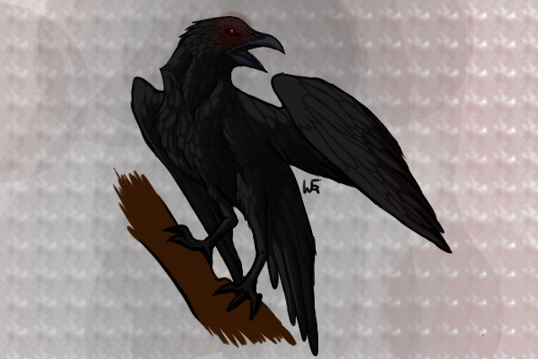 Raven