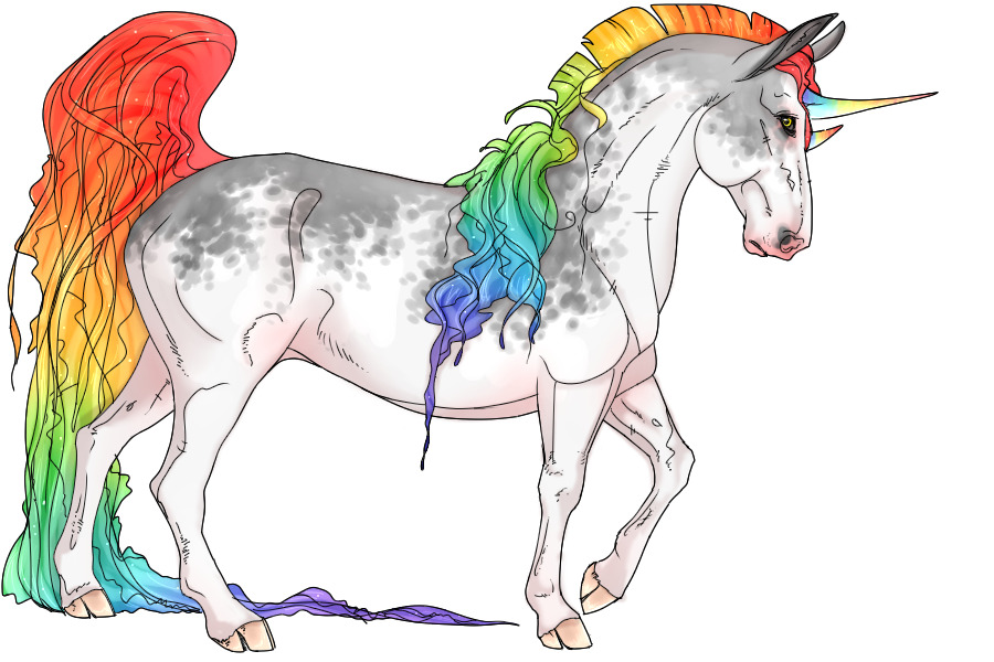 Chrysaora Basilisk #230 | Regular Adopt