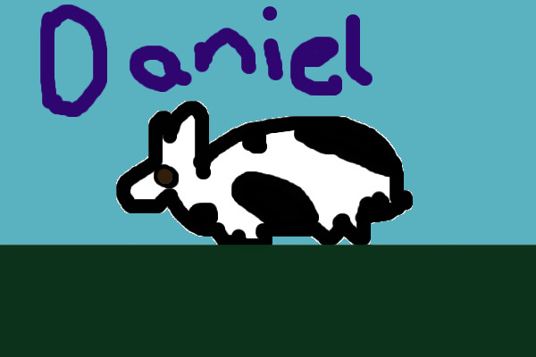 My pet Daniel