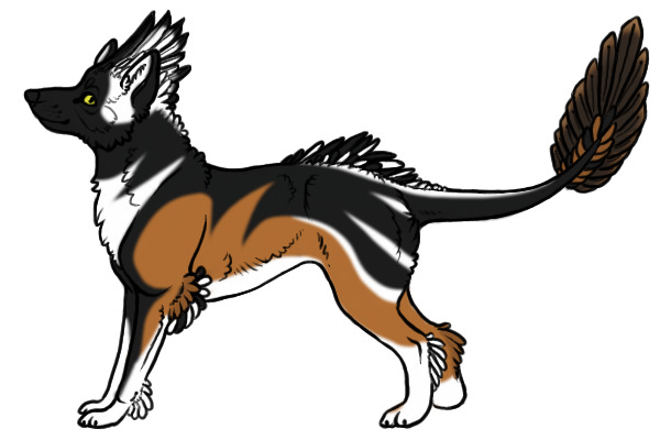 Kietta #59 - Transparent