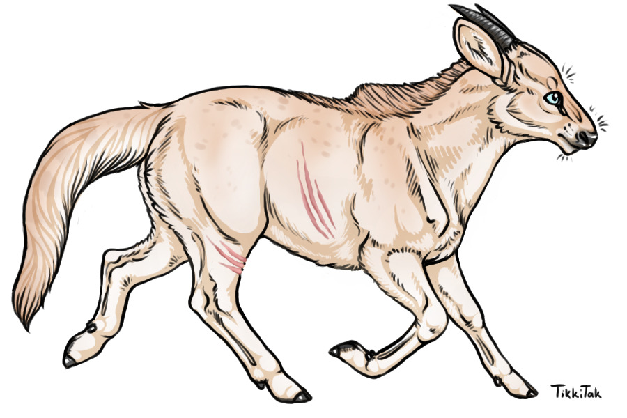 Summer Event 003 | Leucistic Sable