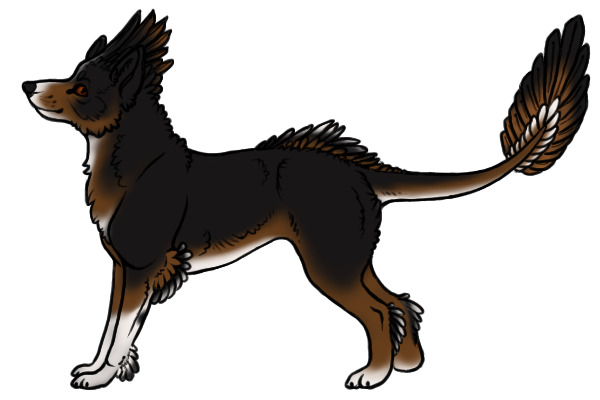 Kietta #64 - Transparent