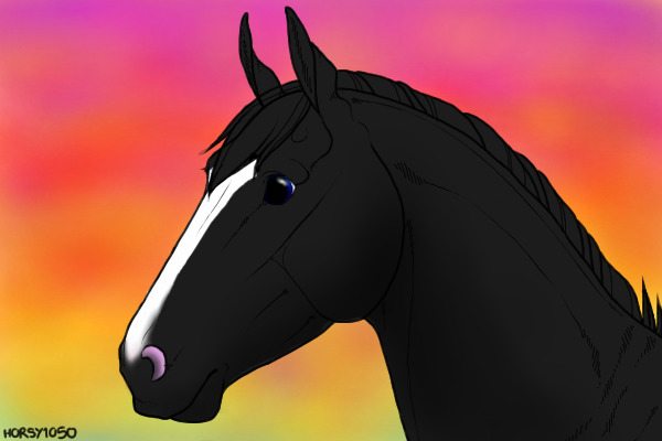~*~My Dream Horse~*~
